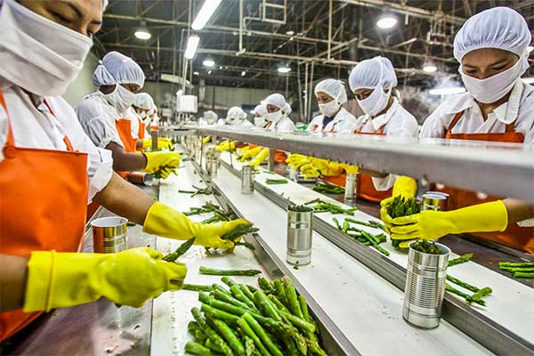 food-processing